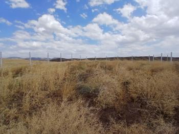 GÜVENAY - ÇORUM OSMANCIK YOLU SARMAŞA MEVKİ TAKSİTLİ SATILIK HOBİ BAHÇESİ