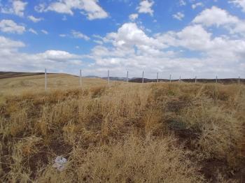 GÜVENAY - ÇORUM OSMANCIK YOLU SARMAŞA MEVKİ TAKSİTLİ SATILIK HOBİ BAHÇESİ