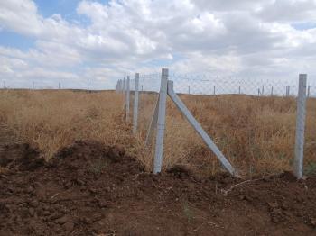 GÜVENAY - ÇORUM OSMANCIK YOLU SARMAŞA MEVKİ TAKSİTLİ SATILIK HOBİ BAHÇESİ