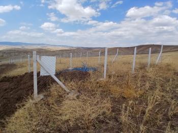 GÜVENAY - ÇORUM OSMANCIK YOLU SARMAŞA MEVKİ TAKSİTLİ SATILIK HOBİ BAHÇESİ