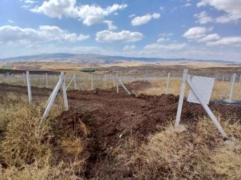 GÜVENAY - ÇORUM OSMANCIK YOLU SARMAŞA MEVKİ TAKSİTLİ SATILIK HOBİ BAHÇESİ