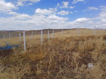 GÜVENAY - ÇORUM OSMANCIK YOLU SARMAŞA MEVKİ TAKSİTLİ SATILIK HOBİ BAHÇESİ