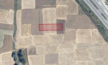 ÇOĞULLU KÖYÜNDE SATILIK 2.819m2 TARLA