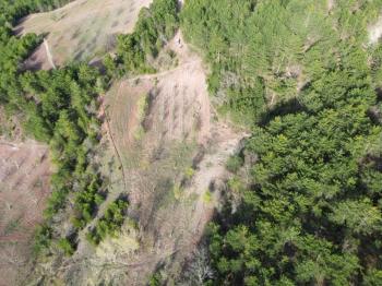 Bilecik Gölpazarı Dereli köyünde satılık arazi.