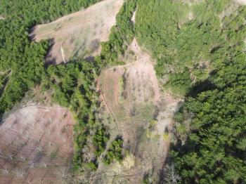 Bilecik Gölpazarı Dereli köyünde satılık arazi.