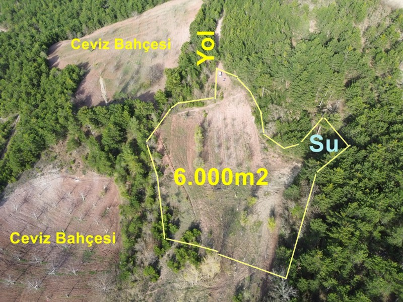Bilecik Gölpazarı Dereli köyünde satılık arazi.