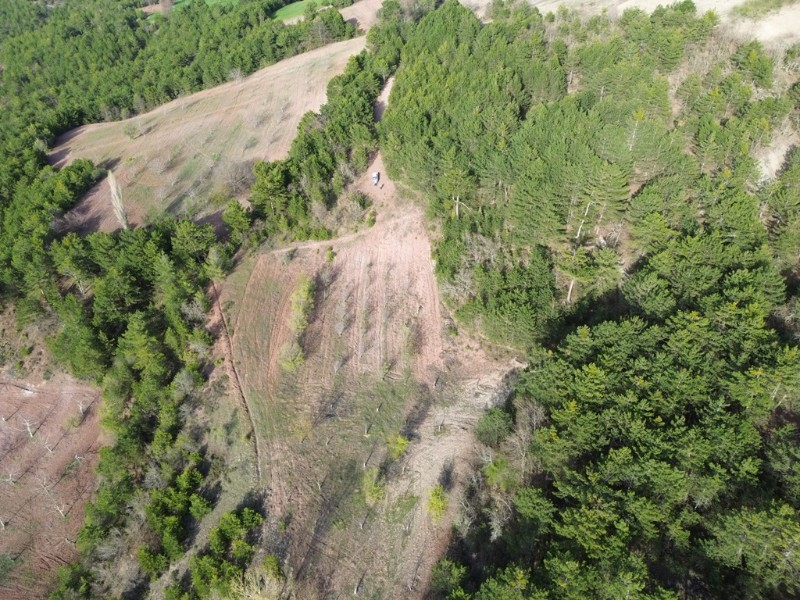 Bilecik Gölpazarı Dereli köyünde satılık arazi.