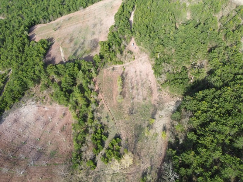 Bilecik Gölpazarı Dereli köyünde satılık arazi.