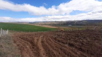 GÜVENAY - ÇORUM YENİ OSMANCIK YOLU YANI 600 m² SATILIK HOBİ BAHÇESİ