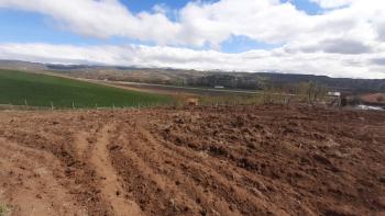 GÜVENAY - ÇORUM YENİ OSMANCIK YOLU YANI 600 m² SATILIK HOBİ BAHÇESİ