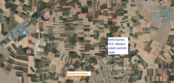 Karatlı  Hüyük  Çarıklı üçgeninde  14.5 dönüm satılık tarla.