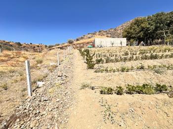 Güvenay - Çorum İskilip Yolu 10. Km Dana Deresi Bölgesinde  500 M² Satılık Bahçe!