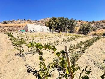 Güvenay - Çorum İskilip Yolu 10. Km Dana Deresi Bölgesinde  500 M² Satılık Bahçe!