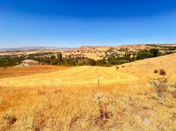 GÜVENAY - ÇORUM KURUÇAY MEVKİİ SATILIK 4753 M² TARLA 