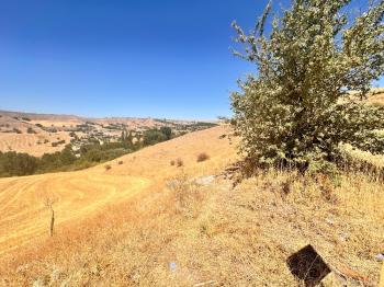 GÜVENAY - ÇORUM KURUÇAY MEVKİİ SATILIK 4753 M² TARLA 