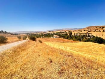 GÜVENAY - ÇORUM KURUÇAY MEVKİİ SATILIK 4753 M² TARLA 