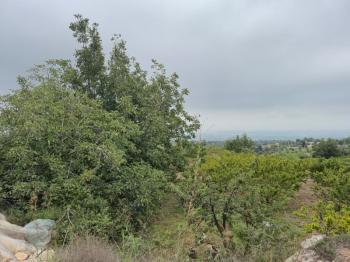 ASLAN'DAN SIRAÇTA DENİZ MANZARALI KÖY İÇİ İMARLI SATILIK BAÇHE