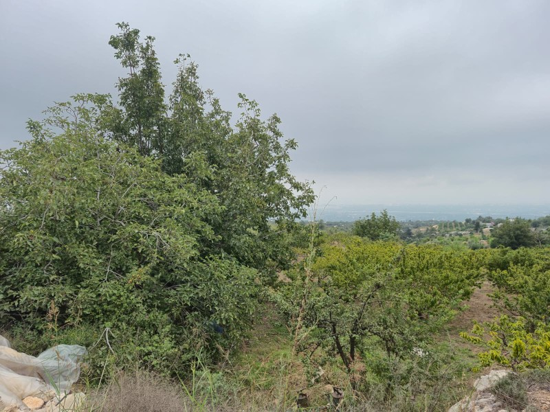 ASLAN'DAN SIRAÇTA DENİZ MANZARALI KÖY İÇİ İMARLI SATILIK BAÇHE