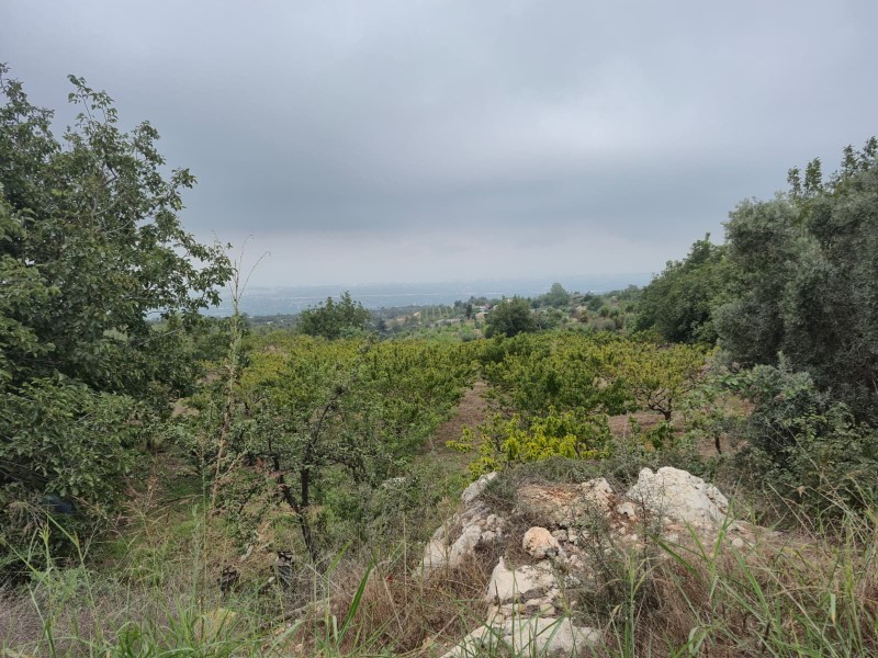 ASLAN'DAN SIRAÇTA DENİZ MANZARALI KÖY İÇİ İMARLI SATILIK BAÇHE