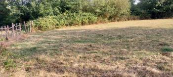 Kocaeli Kandıra Çamkonak Satılık Mustakil Tarla