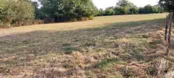 Kocaeli Kandıra Çamkonak Satılık Mustakil Tarla