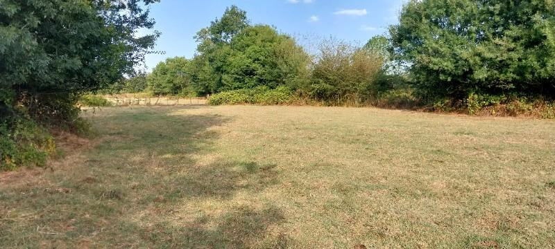 Kocaeli Kandıra Çamkonak Satılık Mustakil Tarla