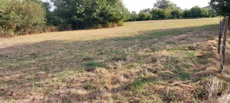 Kandıra Çamkonakta Satılık Mustakil  Tarla