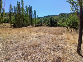 GÜVENAY - ÇORUM KARACAÖREN KÖYÜ 1845 M2 SATILIK BAĞ