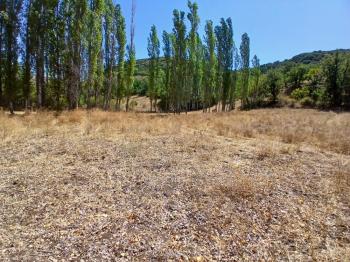 GÜVENAY - ÇORUM KARACAÖREN KÖYÜ 1845 M2 SATILIK BAĞ