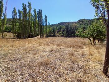 GÜVENAY - ÇORUM KARACAÖREN KÖYÜ 1845 M2 SATILIK BAĞ