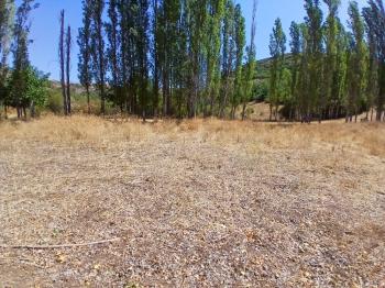 GÜVENAY - ÇORUM KARACAÖREN KÖYÜ 1845 M2 SATILIK BAĞ