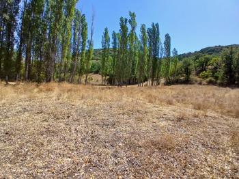 GÜVENAY - ÇORUM KARACAÖREN KÖYÜ 1845 M2 SATILIK BAĞ