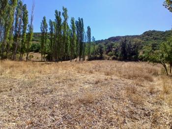 GÜVENAY - ÇORUM KARACAÖREN KÖYÜ 1845 M2 SATILIK BAĞ