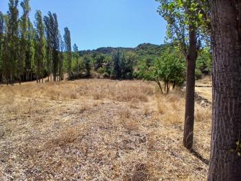 GÜVENAY - ÇORUM KARACAÖREN KÖYÜ 1845 M2 SATILIK BAĞ