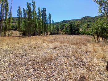 GÜVENAY - ÇORUM KARACAÖREN KÖYÜ 1845 M2 SATILIK BAĞ