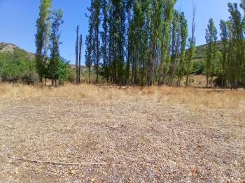 GÜVENAY - ÇORUM KARACAÖREN KÖYÜ 1845 M2 SATILIK BAĞ