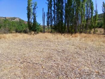 GÜVENAY - ÇORUM KARACAÖREN KÖYÜ 1845 M2 SATILIK BAĞ