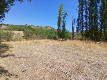 GÜVENAY - ÇORUM KARACAÖREN KÖYÜ 1845 M2 SATILIK BAĞ