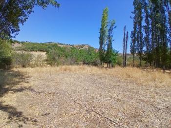 GÜVENAY - ÇORUM KARACAÖREN KÖYÜ 1845 M2 SATILIK BAĞ