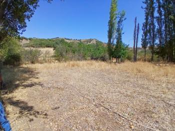 GÜVENAY - ÇORUM KARACAÖREN KÖYÜ 1845 M2 SATILIK BAĞ