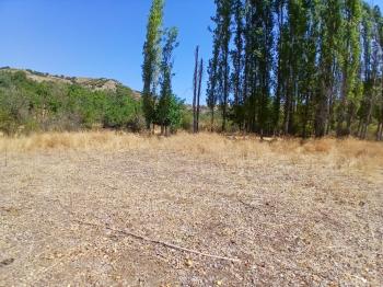 GÜVENAY - ÇORUM KARACAÖREN KÖYÜ 1845 M2 SATILIK BAĞ