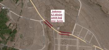 NİĞDE HANÇERLİDE  4.5 DÖNÜM SATILIK  BAKIMSIZ BAĞ