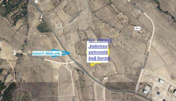 NİĞDE HANÇERLİDE  4.5 DÖNÜM SATILIK  BAKIMSIZ BAĞ