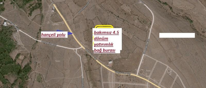 NİĞDE HANÇERLİDE  4.5 DÖNÜM SATILIK  BAKIMSIZ BAĞ