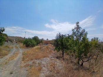 GÜVENAY - ÇORUM ÇOMAR BARAJI YUKARISI SATILIK 3835 M2 BAĞ