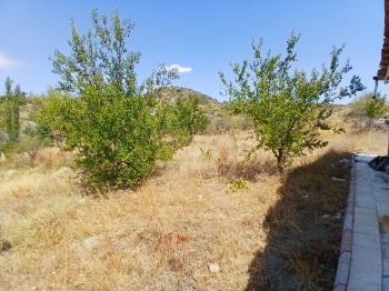 GÜVENAY - ÇORUM ÇOMAR BARAJI YUKARISI SATILIK 3835 M2 BAĞ