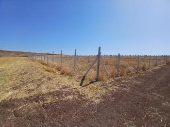 GÜVENAY - ÇORUM SARMAŞA MEVKİ SATILIK HOBİ BAHÇELERİ