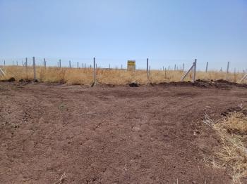 GÜVENAY - ÇORUM SARMAŞA MEVKİ SATILIK HOBİ BAHÇELERİ