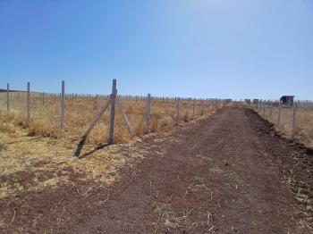 GÜVENAY - ÇORUM SARMAŞA MEVKİ SATILIK HOBİ BAHÇELERİ