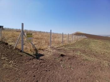 GÜVENAY - ÇORUM SARMAŞA MEVKİ SATILIK HOBİ BAHÇELERİ